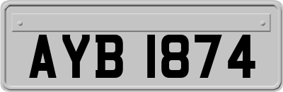 AYB1874