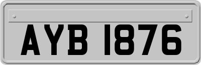 AYB1876