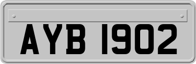 AYB1902