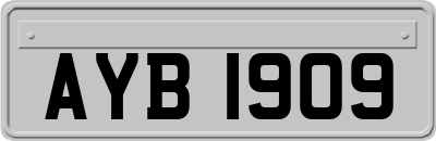 AYB1909