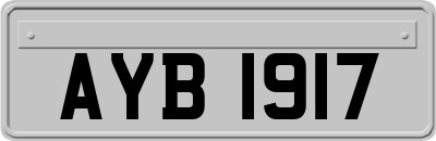 AYB1917