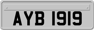 AYB1919