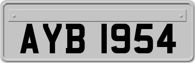 AYB1954