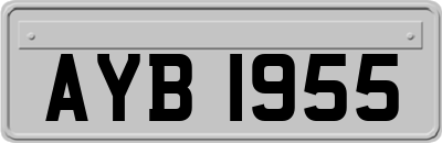 AYB1955