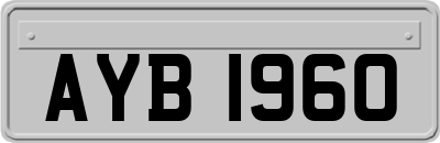AYB1960