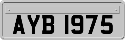 AYB1975