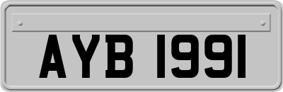 AYB1991