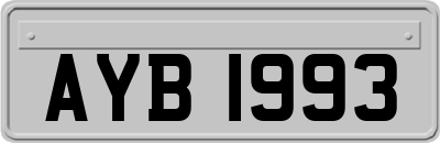 AYB1993
