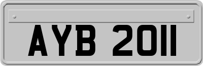 AYB2011