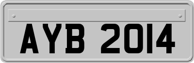 AYB2014