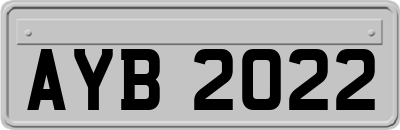 AYB2022
