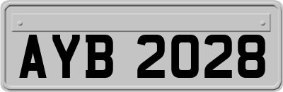 AYB2028