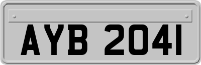 AYB2041
