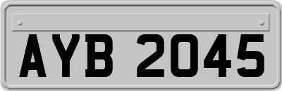 AYB2045