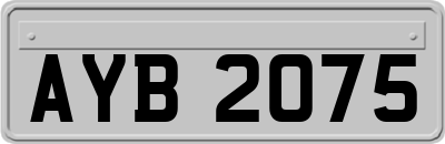 AYB2075