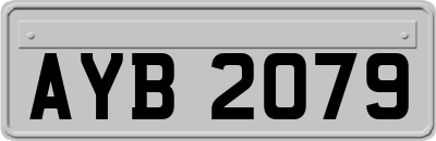 AYB2079