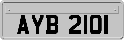 AYB2101