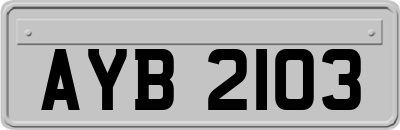 AYB2103