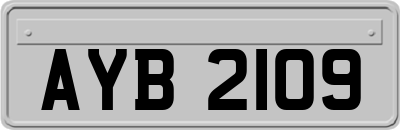 AYB2109