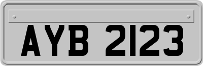 AYB2123