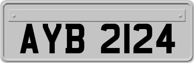 AYB2124