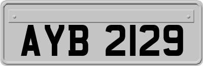 AYB2129