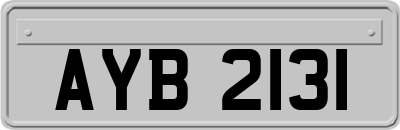 AYB2131