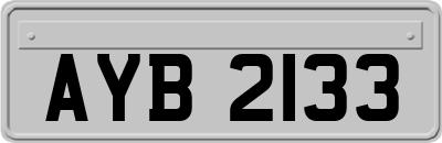 AYB2133