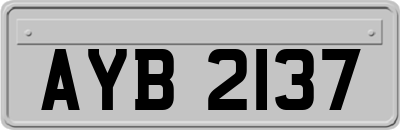 AYB2137