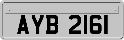 AYB2161