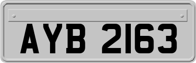 AYB2163