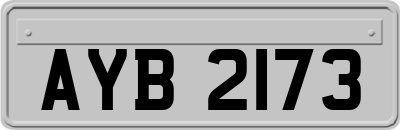 AYB2173