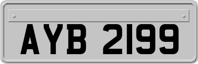 AYB2199