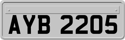 AYB2205