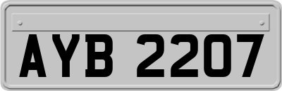 AYB2207