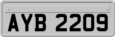 AYB2209
