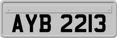 AYB2213