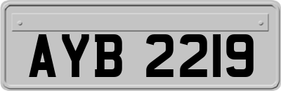 AYB2219