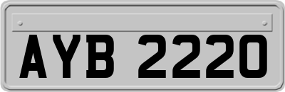 AYB2220