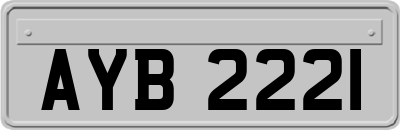 AYB2221