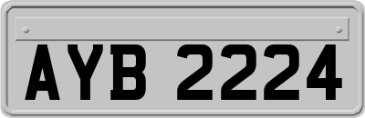 AYB2224