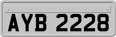 AYB2228