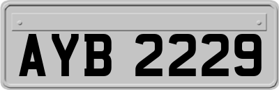 AYB2229
