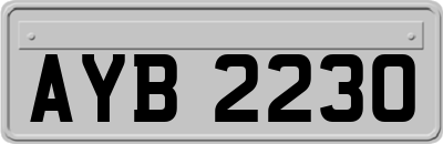AYB2230