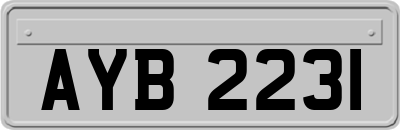 AYB2231