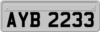 AYB2233