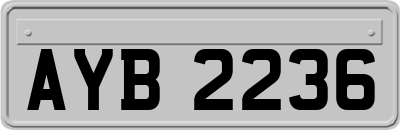 AYB2236