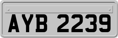 AYB2239