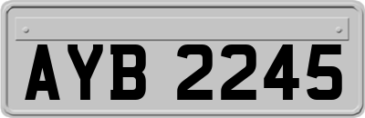 AYB2245
