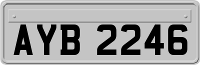 AYB2246